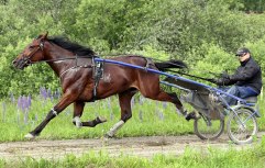 JOHAN ROC 21 juni 2011