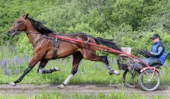 JUNIOR TROY 21 juni 2011