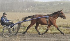 Jula In Focus-okt-2011
