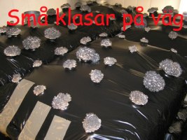 Små klasar på väg