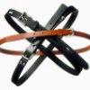 ist1_9239654-belts-cut-out-on-white