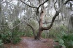 IMG_0818