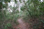 IMG_0826