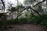 IMG_0855