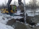 20100222631