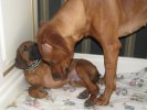 Enzo & Jag 090215