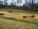 Hagaparken 2008 (2)