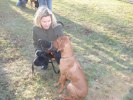 Hagaparken 2008