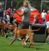 Köping 090718