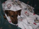Myyys under filten...