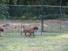 IMG_2470
