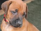 IMG_2074