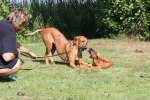 IMG_4248