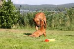 IMG_4244
