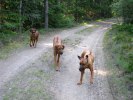 IMG_5636ch