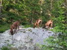 IMG_5642ch
