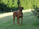 IMG_5652ch