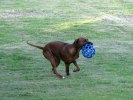 IMG_5658ch