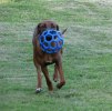 IMG_5660ch