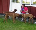 IMG_5661ch