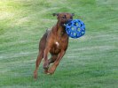 IMG_5662ch