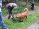 Trassla bekantar si med en kråka