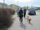 Ähtäri 254