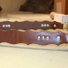 Hackamore 5