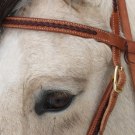 Westernträns ljust detalj