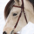Westernträns mörkt 1
