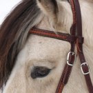 Westernträns mörkt detalj