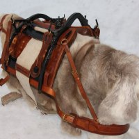 Packsadel 1