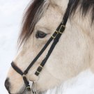 Islandshuvudlag på nordis 2