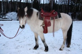 Pyret eklövssadel