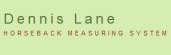 dennis lane