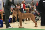 080420_vasteras_8796