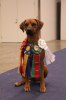 img_1002_resize