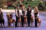img_1058_resize