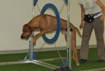IMG_0500