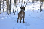 IMG_1362