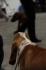 _MG_9779_resize