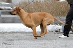IMG_7093