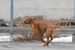 IMG_7193