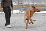 IMG_7287