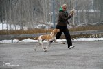 IMG_6264