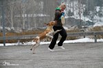 IMG_6267