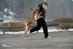 IMG_6271