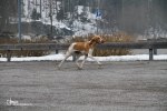 IMG_6347