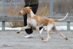 IMG_6394