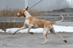 IMG_6434